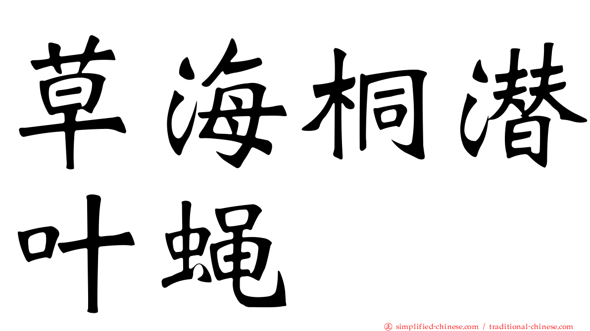 草海桐潜叶蝇