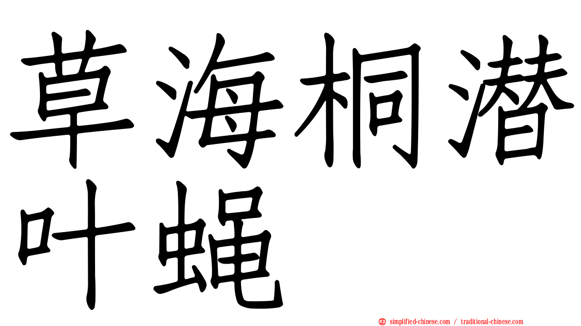 草海桐潜叶蝇