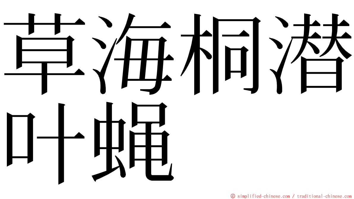 草海桐潜叶蝇 ming font