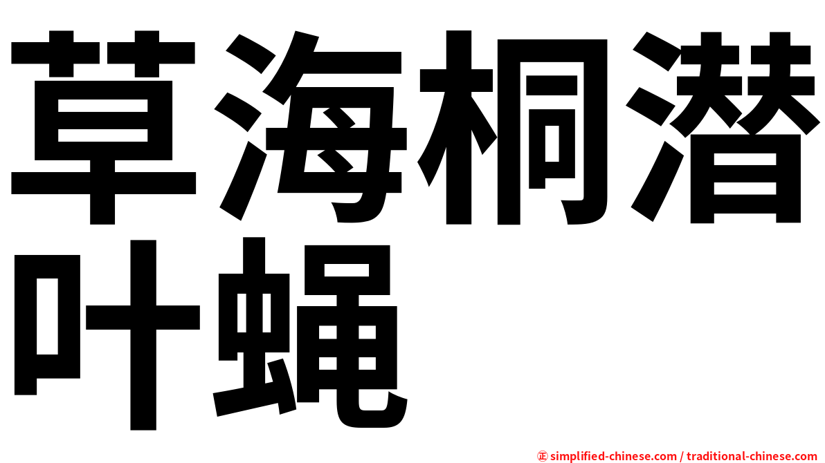 草海桐潜叶蝇