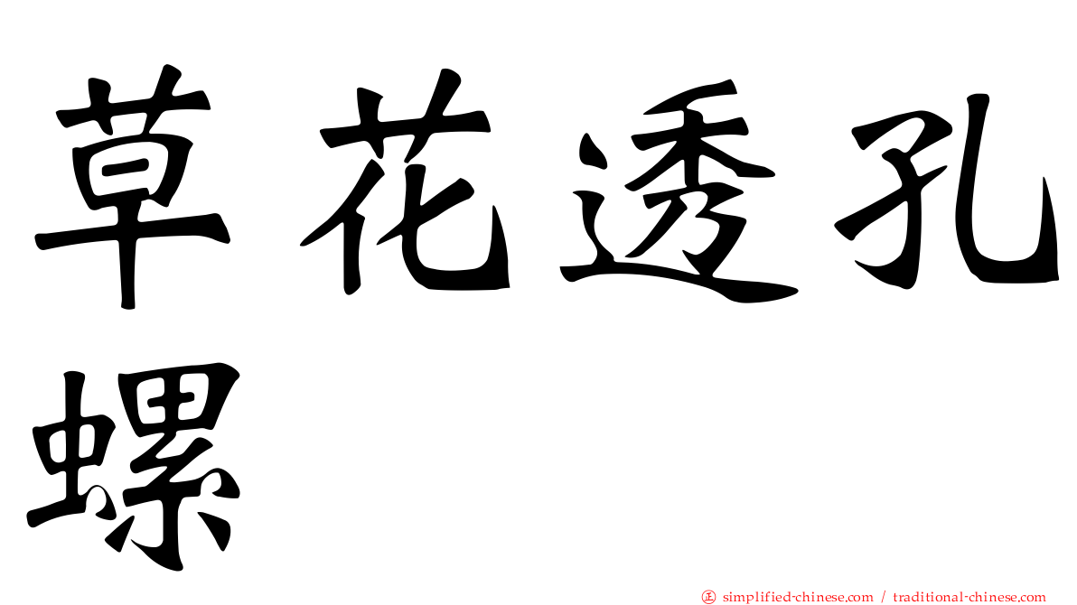 草花透孔螺