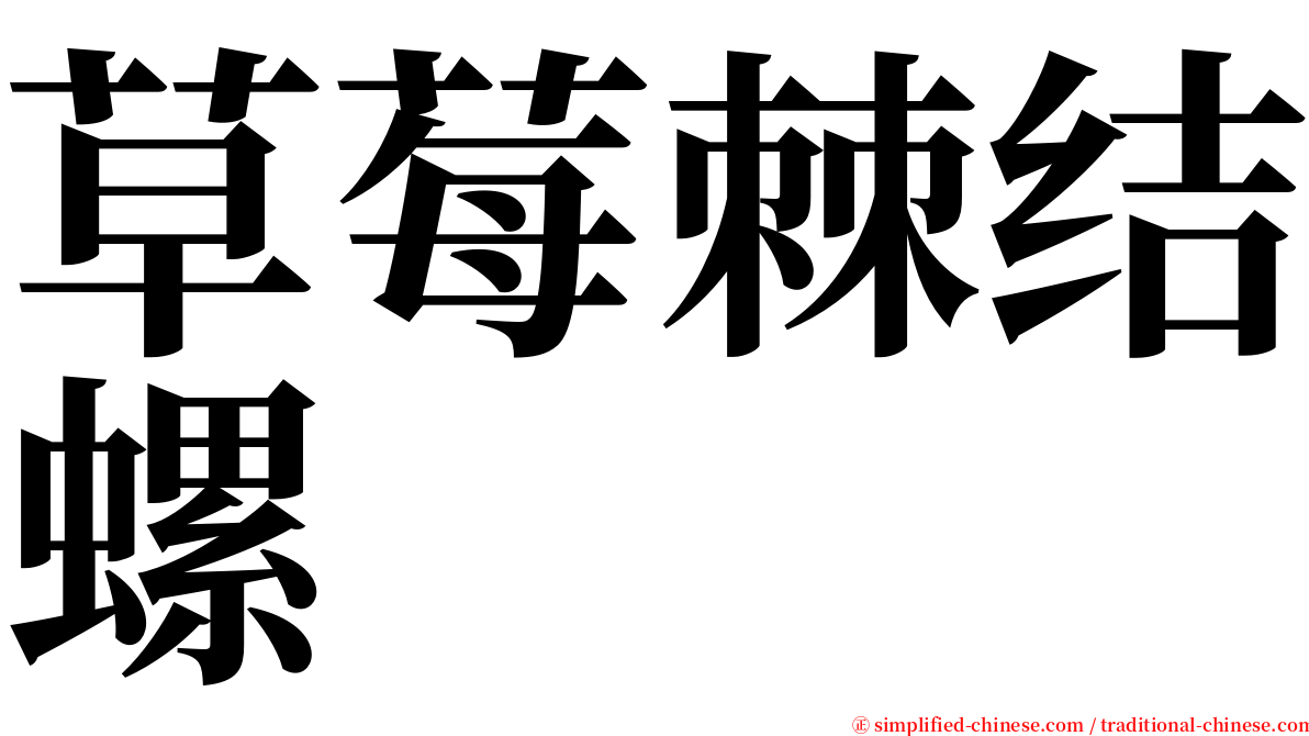草莓棘结螺 serif font