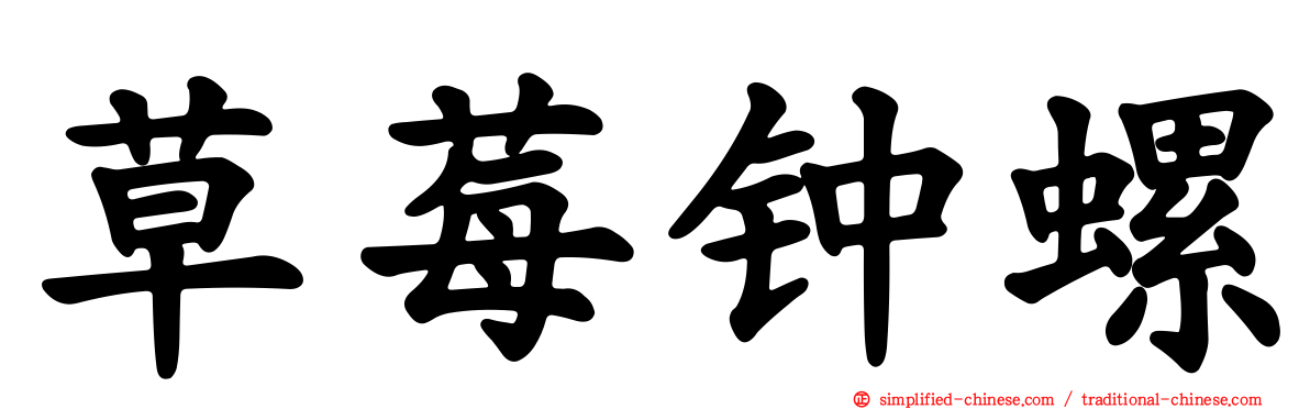 草莓钟螺