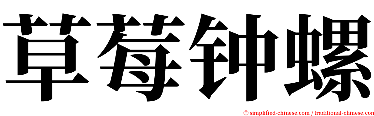 草莓钟螺 serif font