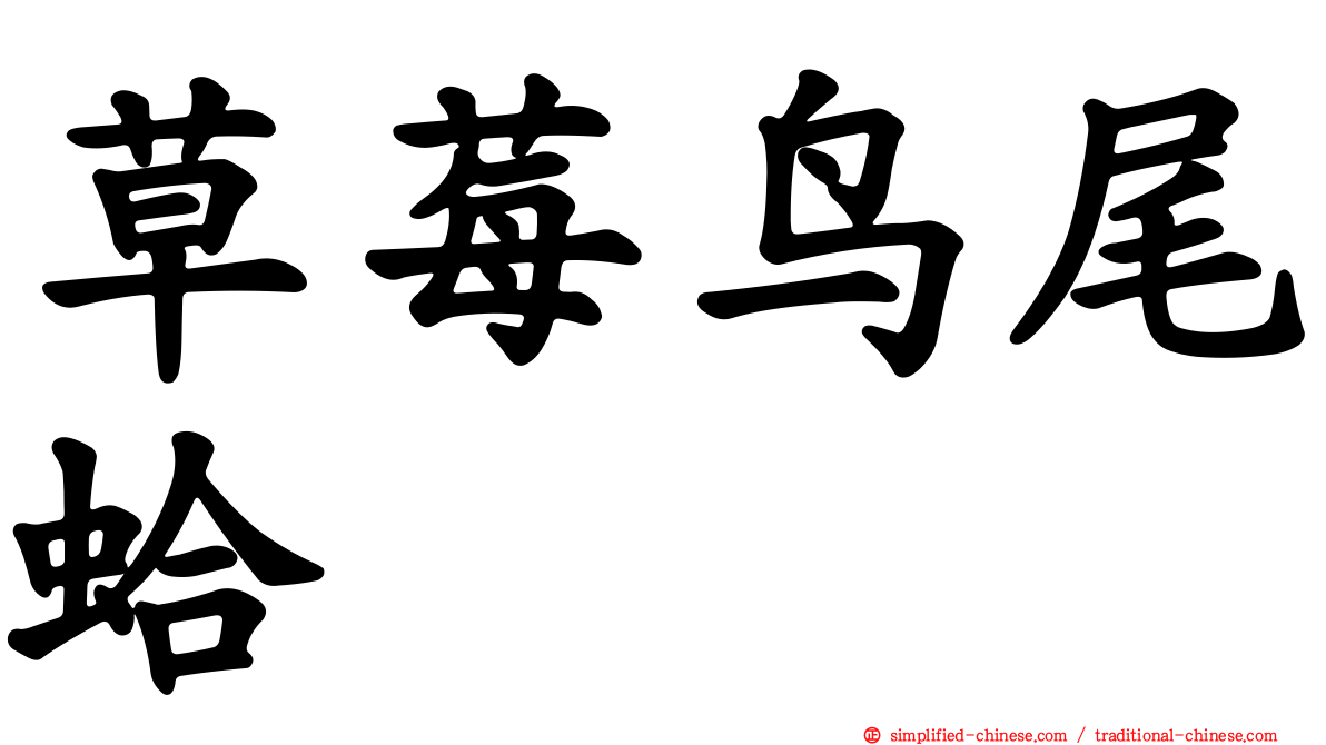 草莓鸟尾蛤