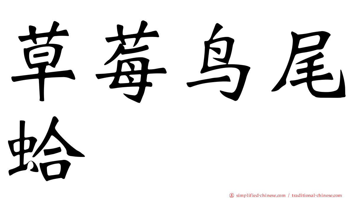 草莓鸟尾蛤