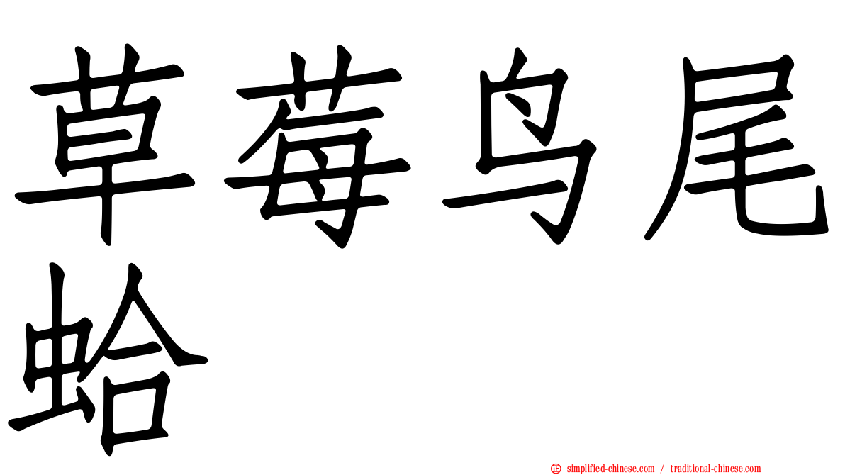 草莓鸟尾蛤