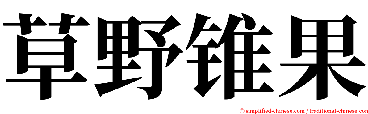 草野锥果 serif font