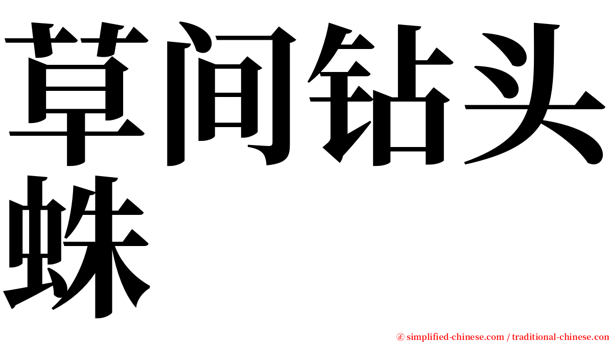 草间钻头蛛 serif font