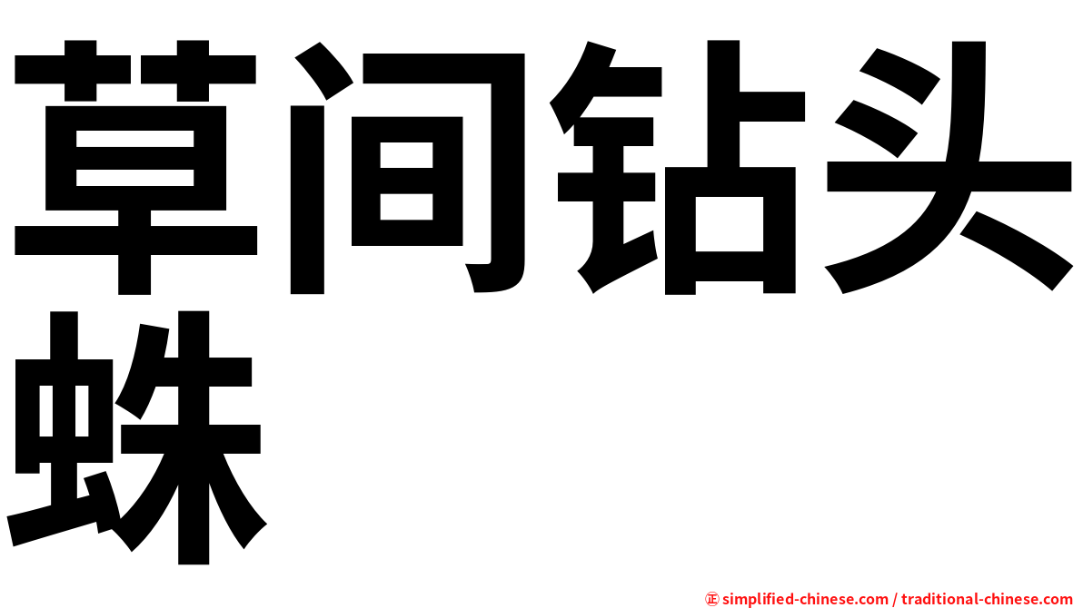 草间钻头蛛