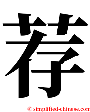 荐 serif font