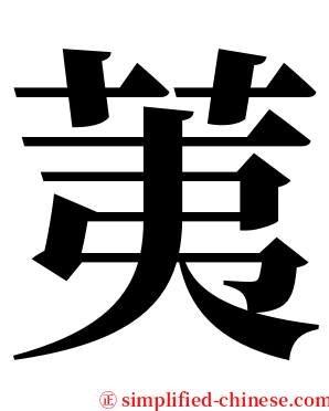 荑 serif font