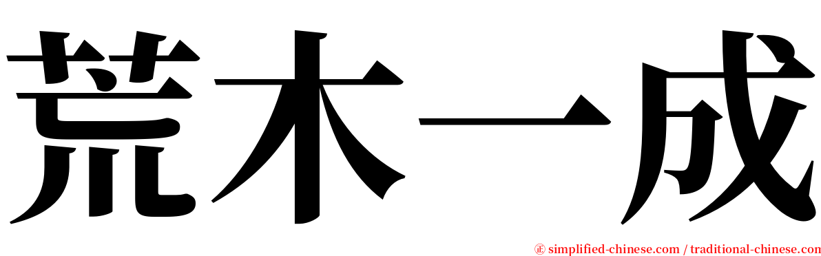 荒木一成 serif font