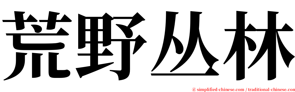 荒野丛林 serif font