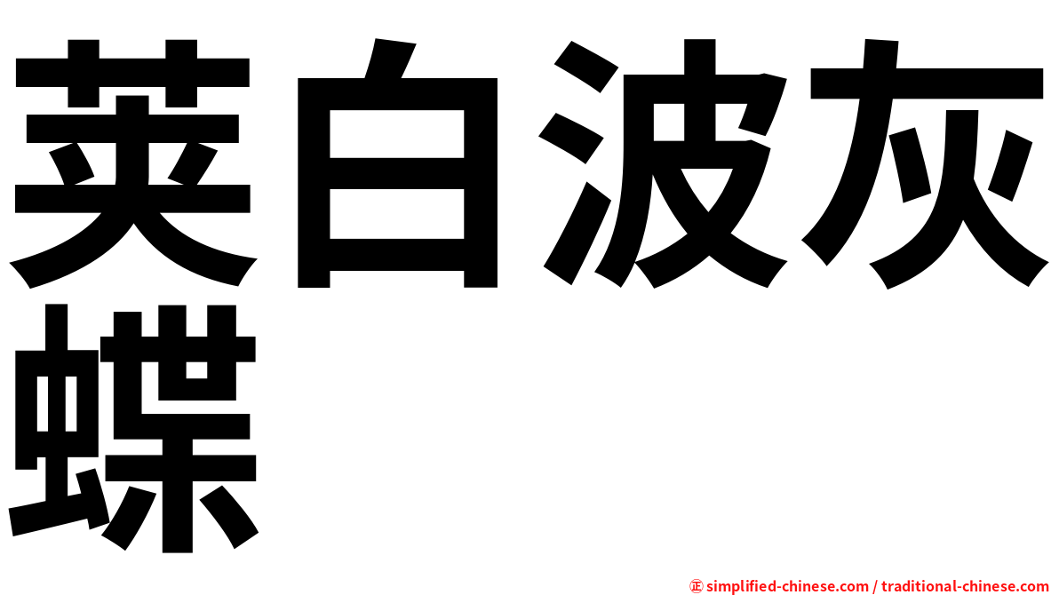 荚白波灰蝶