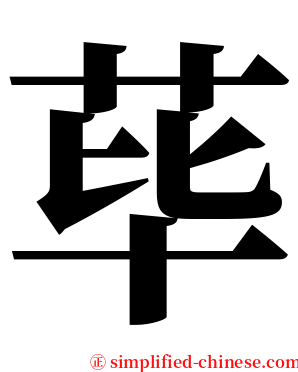 荜 serif font