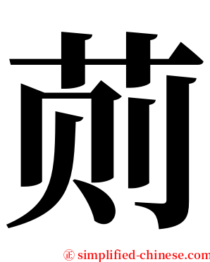 荝 serif font