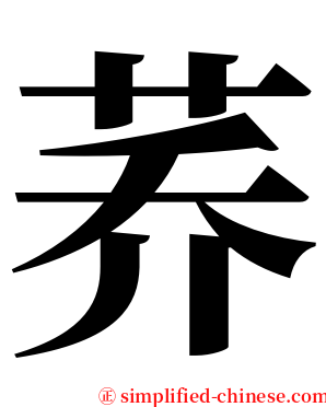 荞 serif font