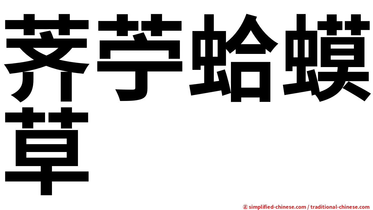 荠苧蛤蟆草