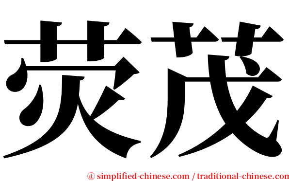 荧茂 serif font
