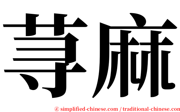 荨麻 serif font