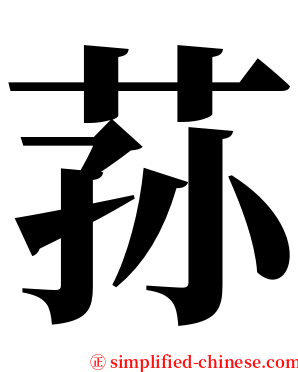 荪 serif font