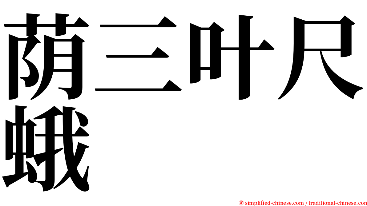 荫三叶尺蛾 serif font