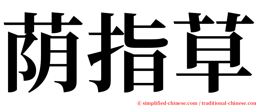 荫指草 serif font