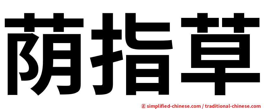 荫指草