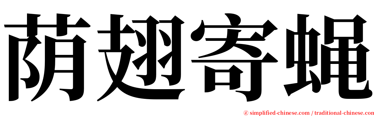荫翅寄蝇 serif font