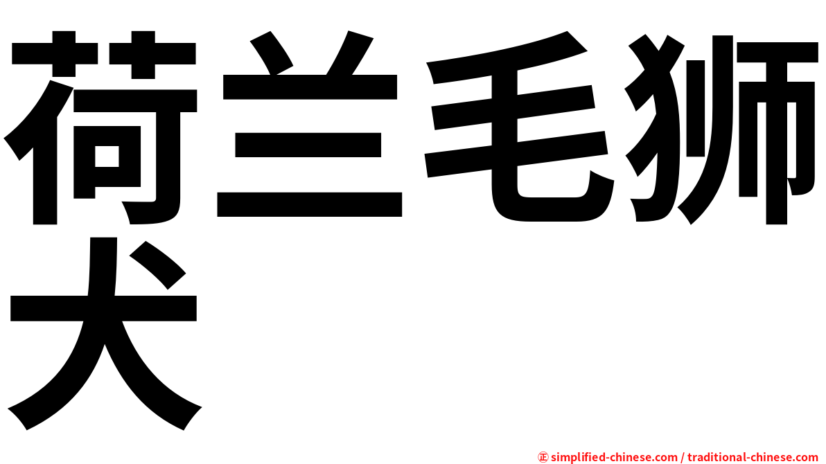 荷兰毛狮犬