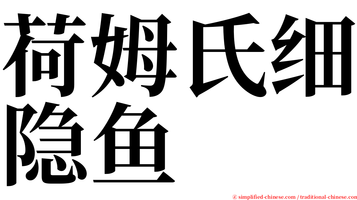 荷姆氏细隐鱼 serif font