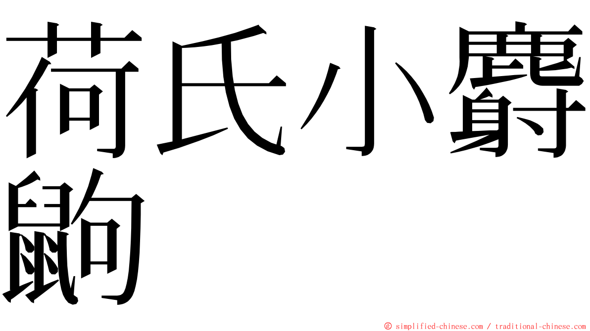 荷氏小麝鼩 ming font