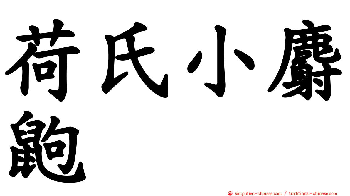 荷氏小麝鼩
