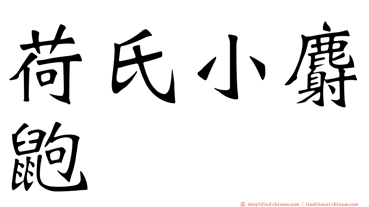 荷氏小麝鼩