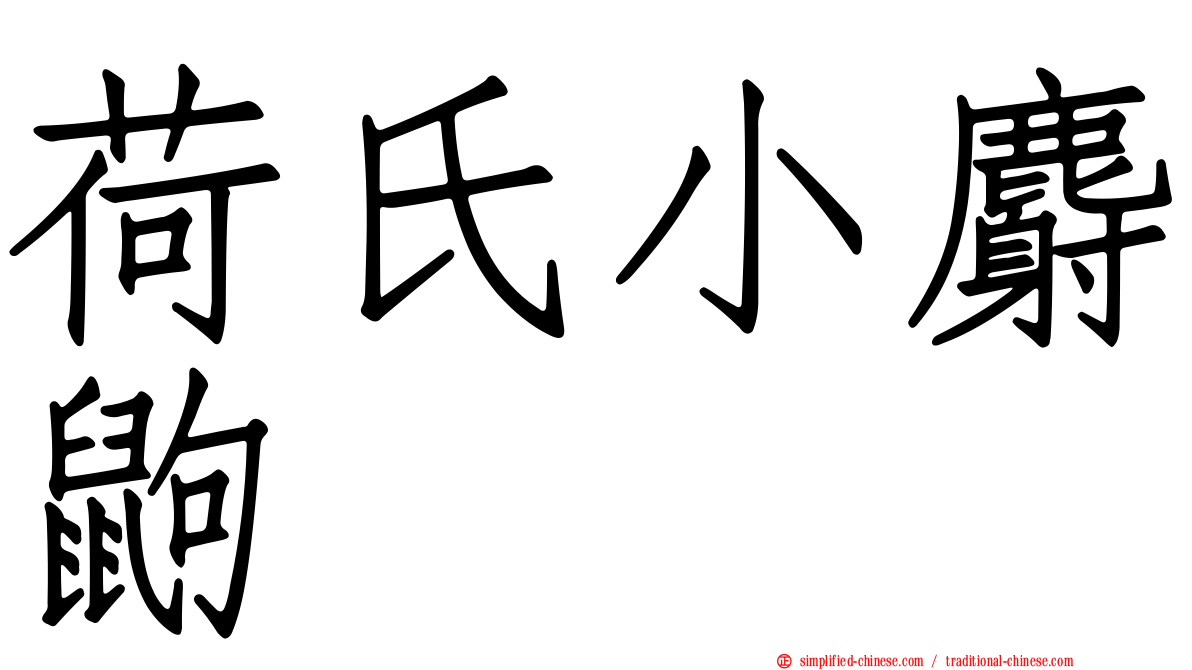 荷氏小麝鼩