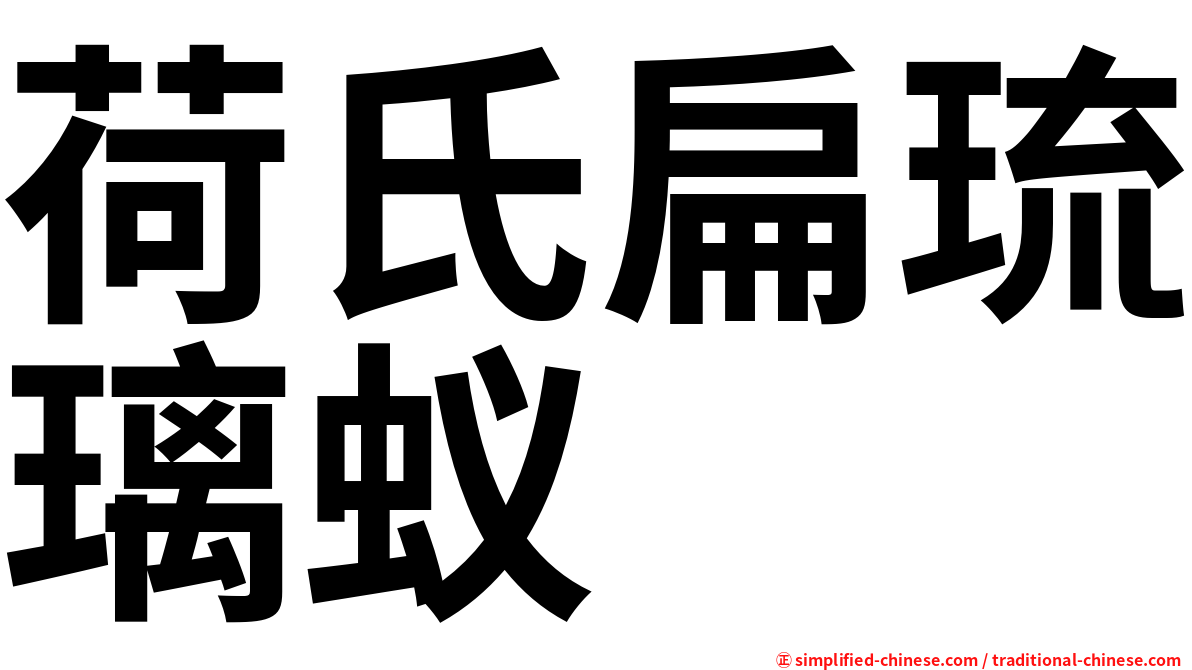 荷氏扁琉璃蚁