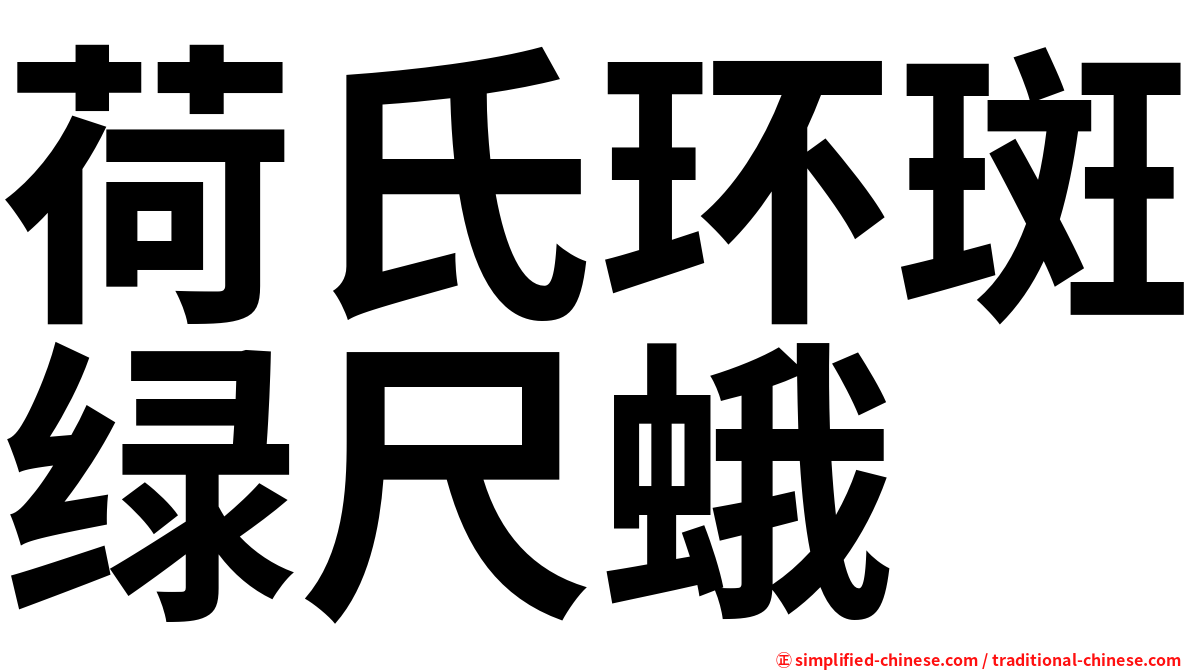荷氏环斑绿尺蛾