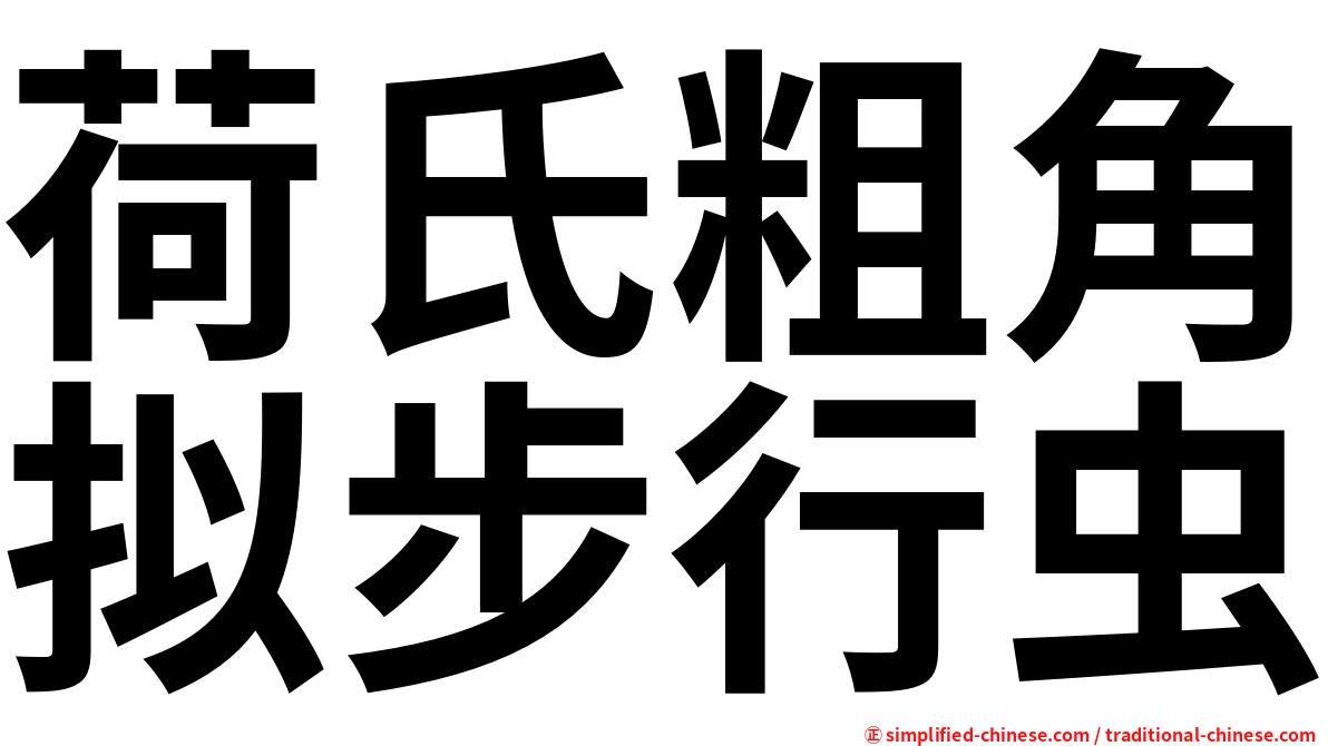 荷氏粗角拟步行虫