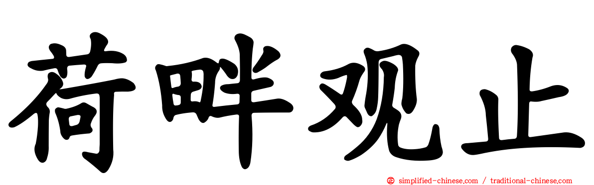 荷畔观止