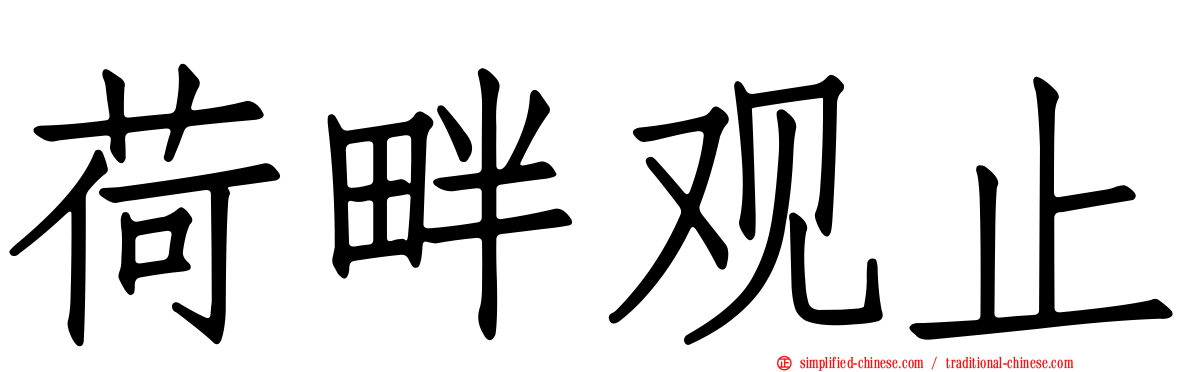 荷畔观止