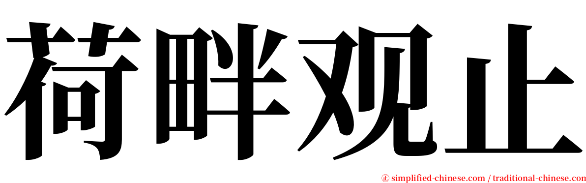 荷畔观止 serif font