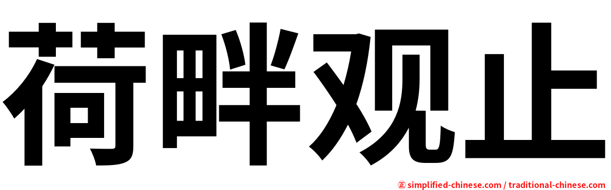 荷畔观止
