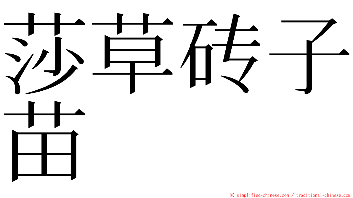 莎草砖子苗 ming font