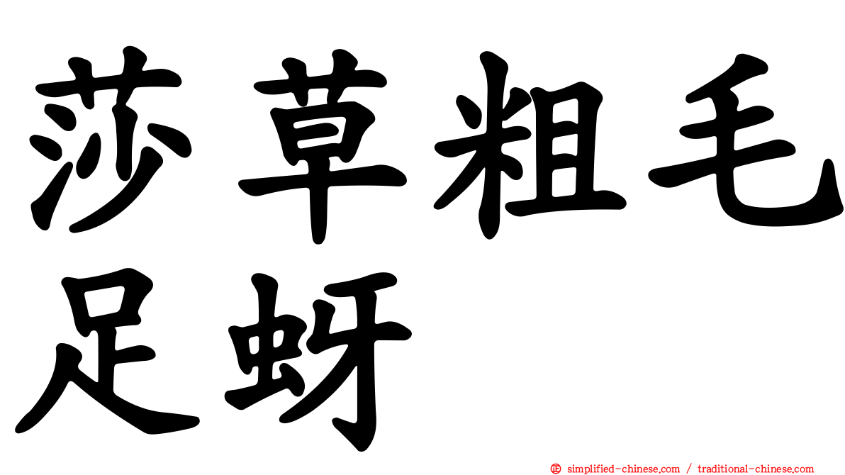 莎草粗毛足蚜