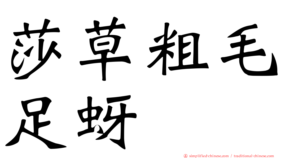 莎草粗毛足蚜