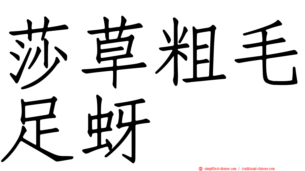 莎草粗毛足蚜