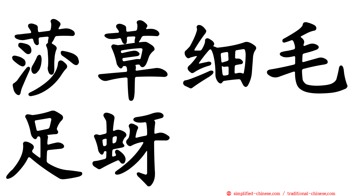 莎草细毛足蚜