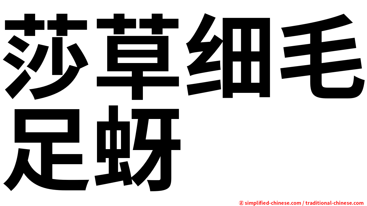 莎草细毛足蚜