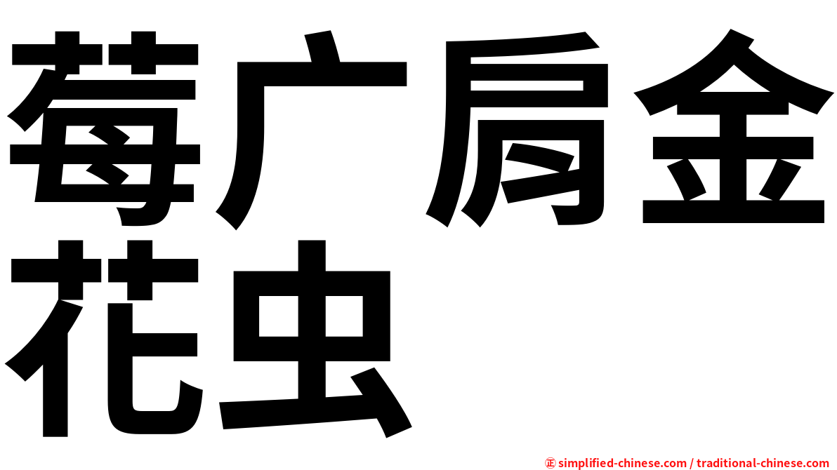 莓广肩金花虫